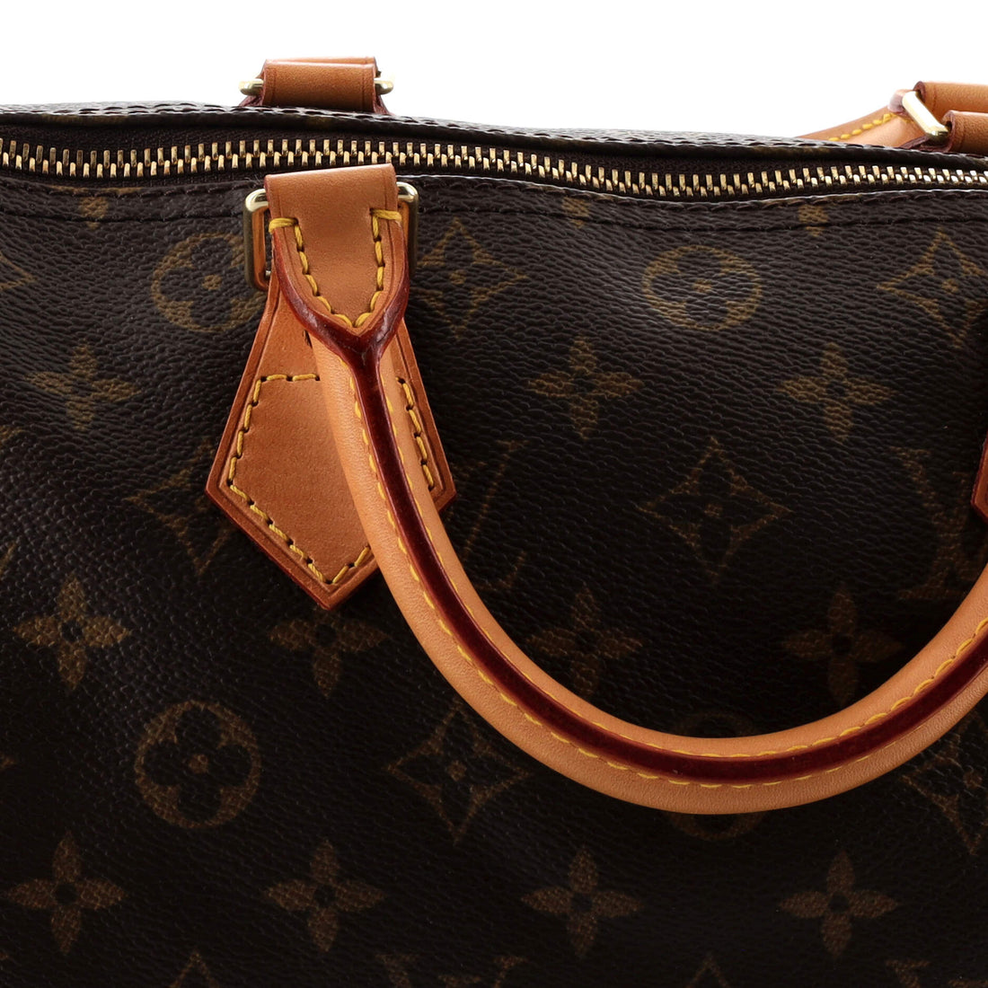 Speedy Handbag Monogram Canvas 30