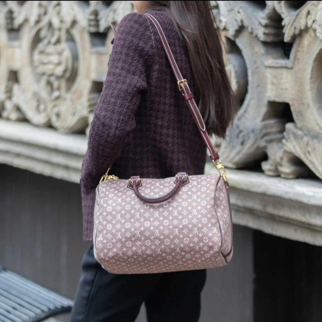 LOUIS VUITTON mine lin Speedy Bandouliere 30
