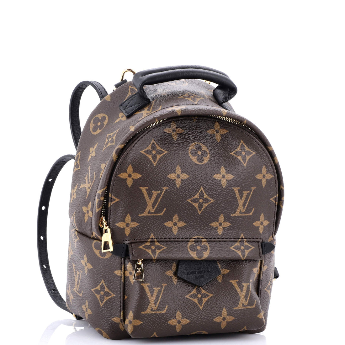 Palm Springs Backpack Monogram Canvas Mini