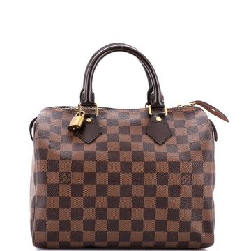 Speedy Handbag Damier 25