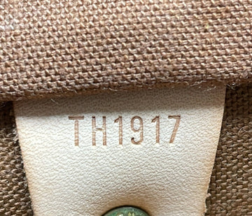 Speedy Handbag Monogram Canvas 30
