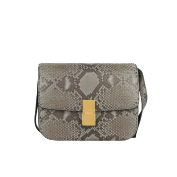 Celine Medium ClaESic Box Bag - Python