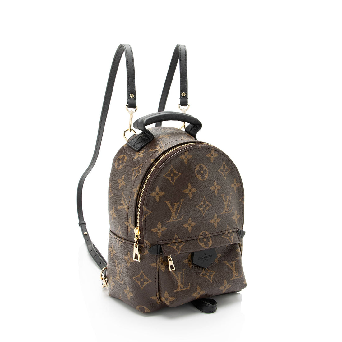 Louis Vuitton Monogram Canvas Palm Springs Mini Backpack