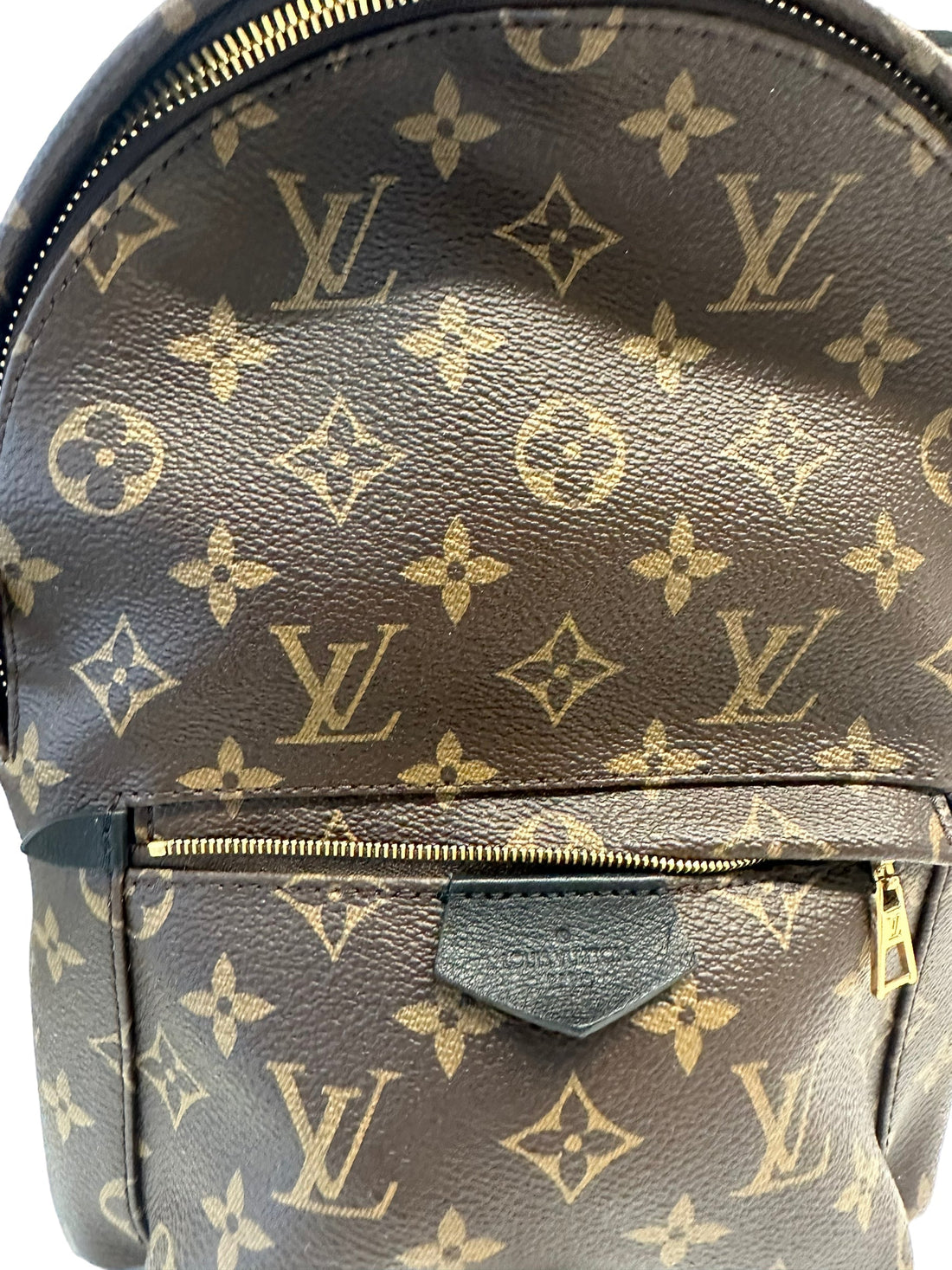 LOUIS VUITTON - Monogram Canvas Palm Springs PM