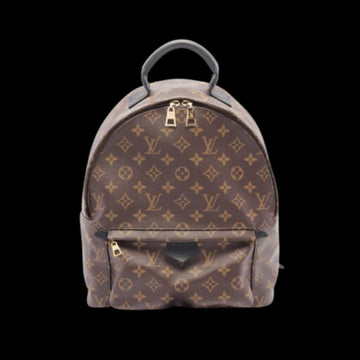 Brown Canvas Louis Vuitton Palm Springs