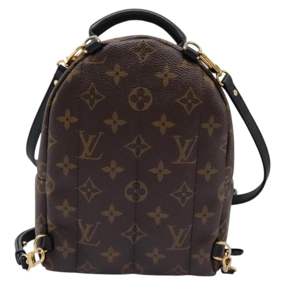 Brown Canvas Louis Vuitton Palm Springs