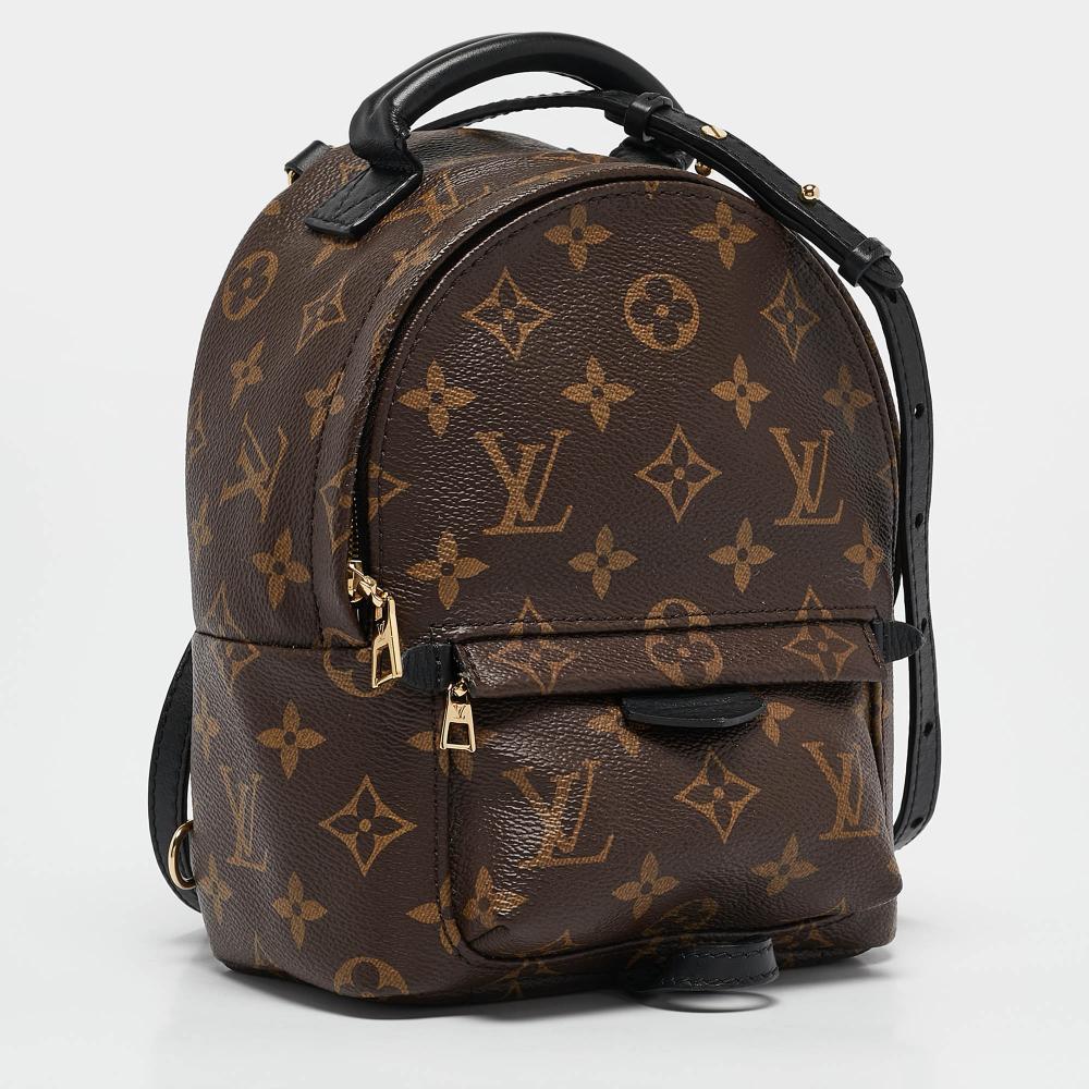Brown Canvas Louis Vuitton Palm Springs