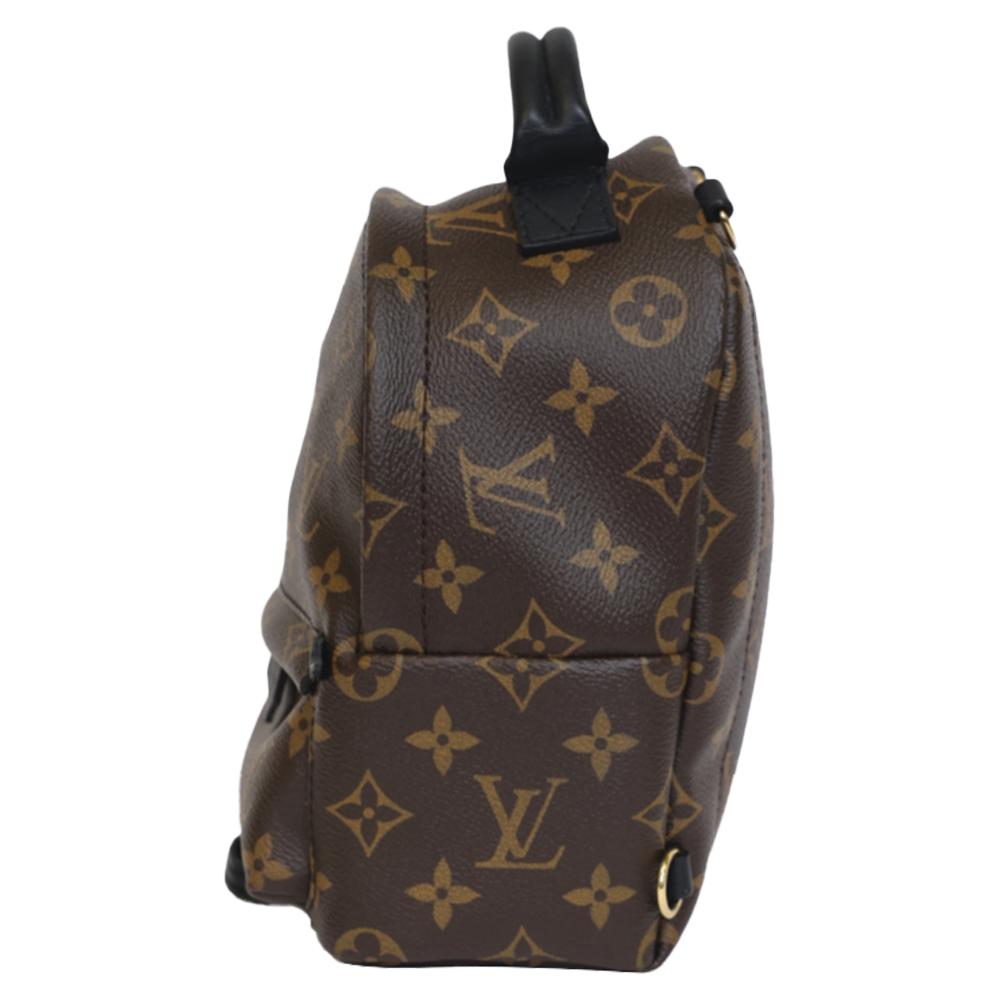 Brown Canvas Louis Vuitton Backpack