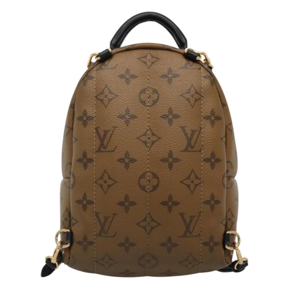 Brown Canvas Louis Vuitton Palm Springs
