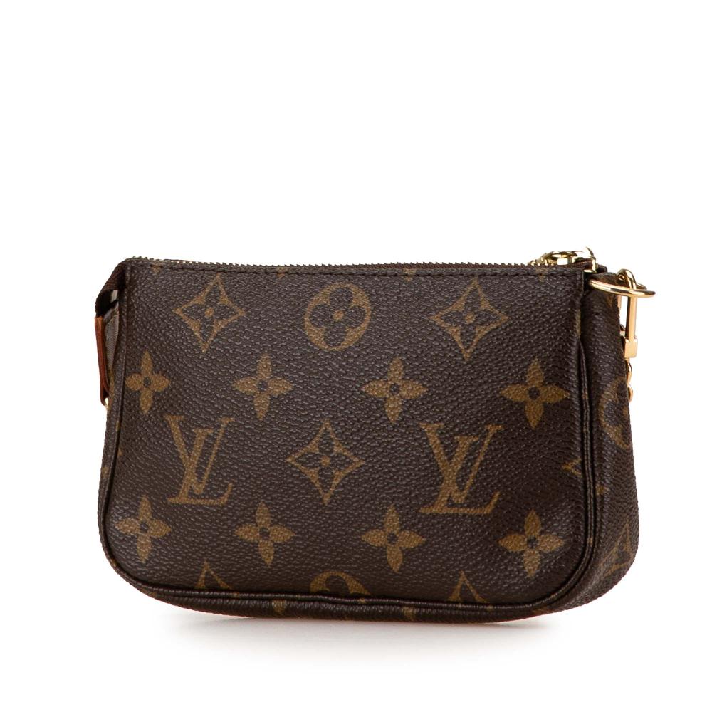 Brown Canvas Louis Vuitton Pochette Accessoires