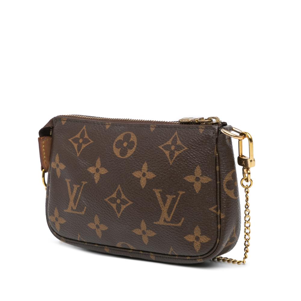 Brown Canvas Louis Vuitton Pochette Accessoires