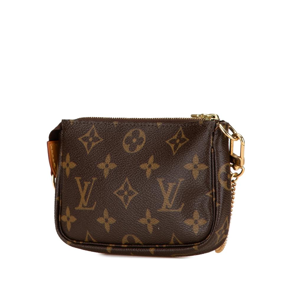 Brown Canvas Louis Vuitton Pochette Accessoires