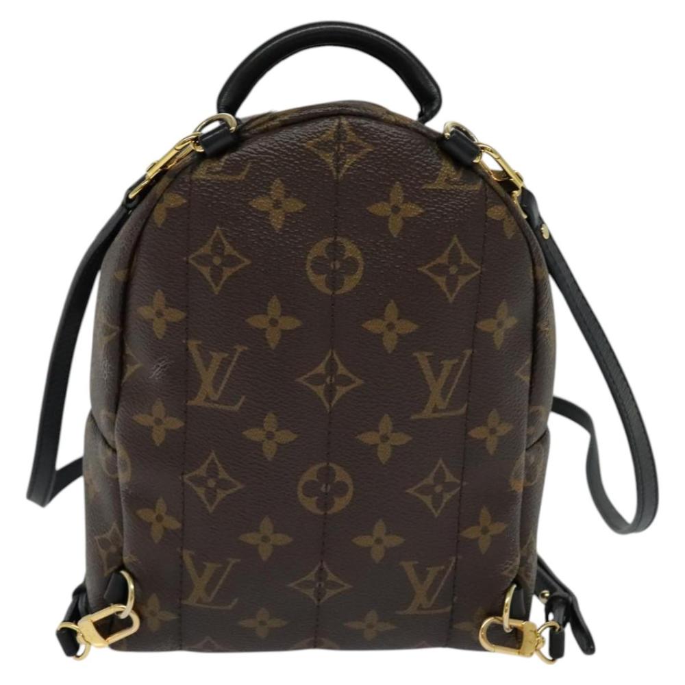 Brown Canvas Louis Vuitton Palm Springs