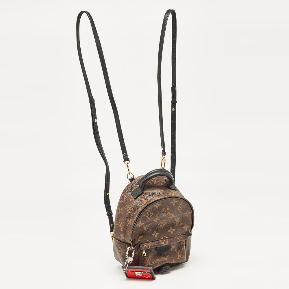 Brown Canvas Louis Vuitton Palm Springs