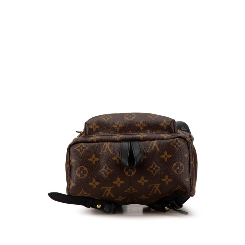 Brown Canvas Louis Vuitton Palm Springs