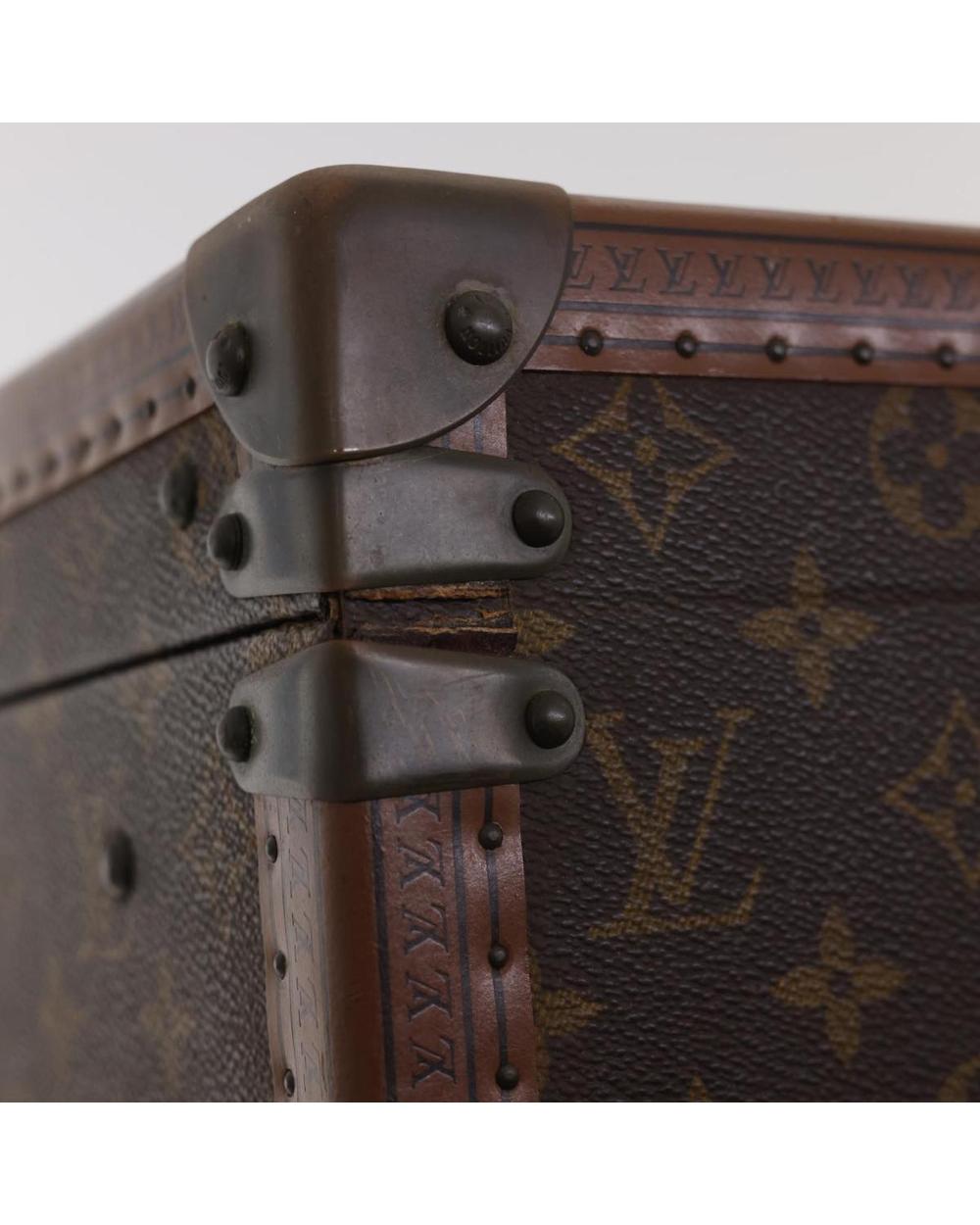 Brown Canvas Louis Vuitton Handbag