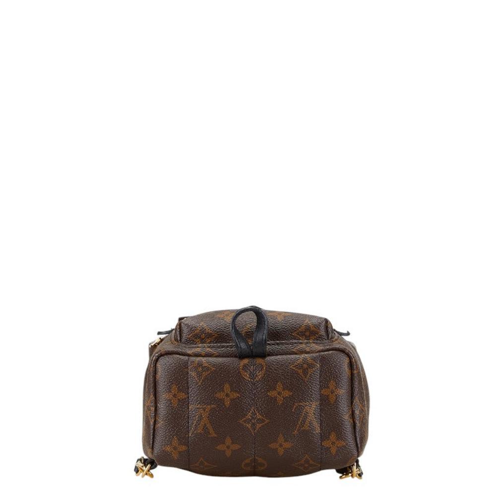 Brown Canvas Louis Vuitton Palm Springs