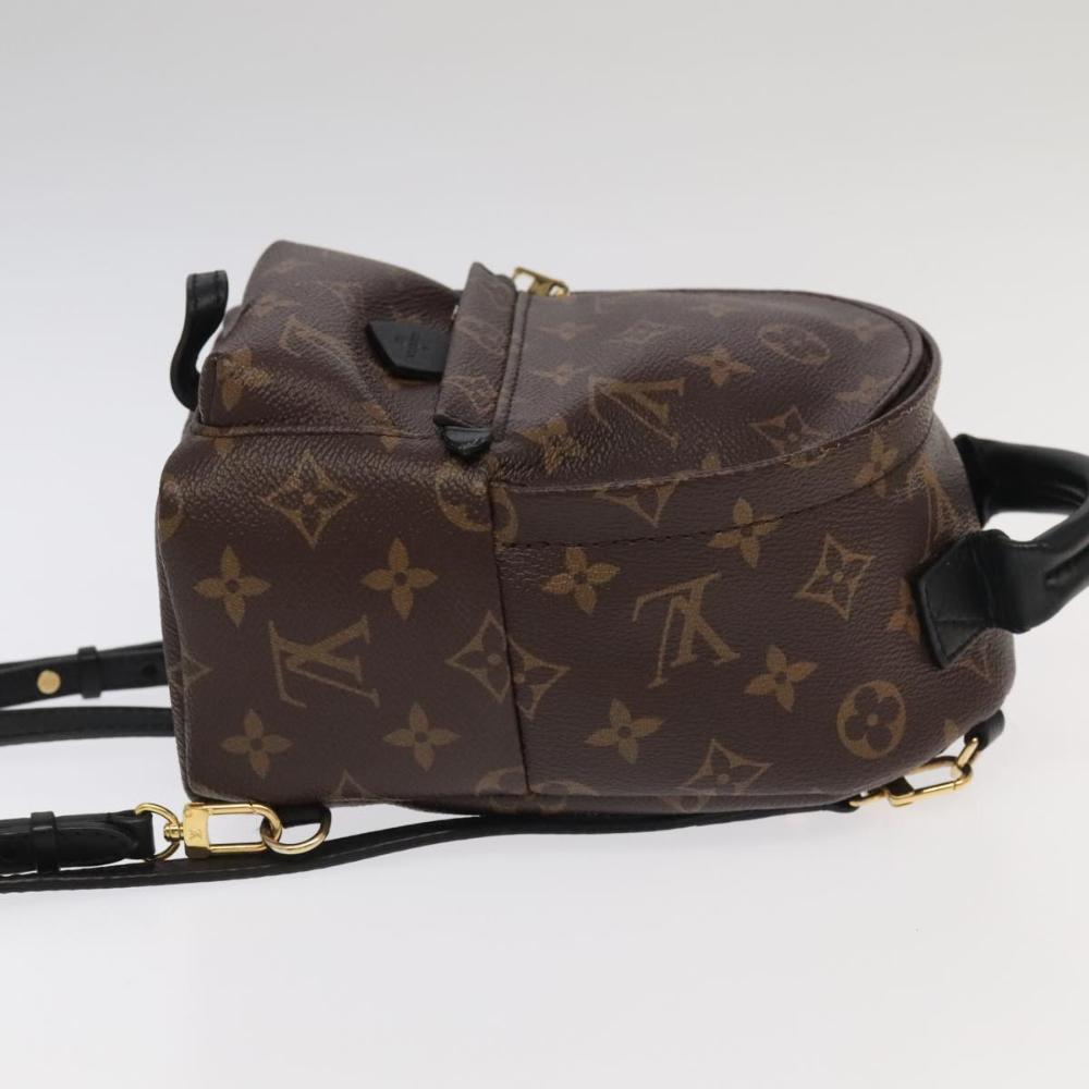 Brown Canvas Louis Vuitton Palm Springs