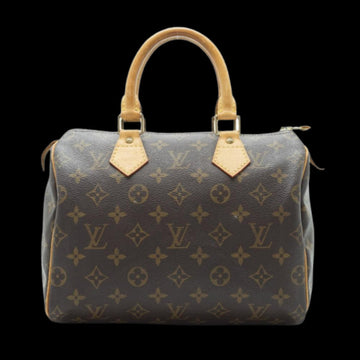 Brown Leather Louis Vuitton Speedy